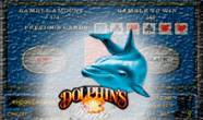 Обзор модели игрового аппарата – Dolphin’s Pearl от компании Novomatic